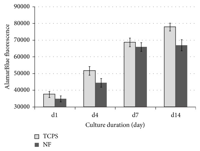 Figure 7