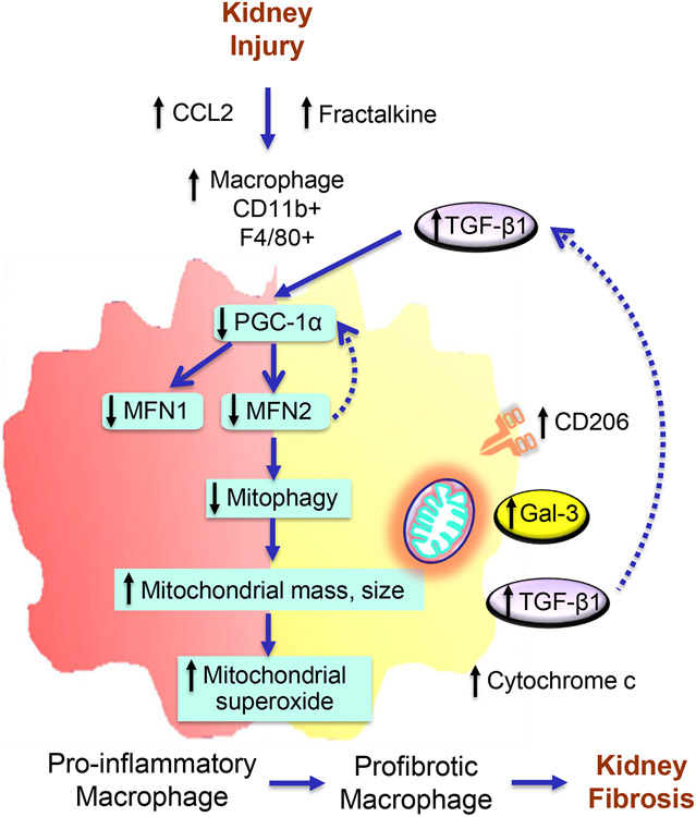 Figure 10.