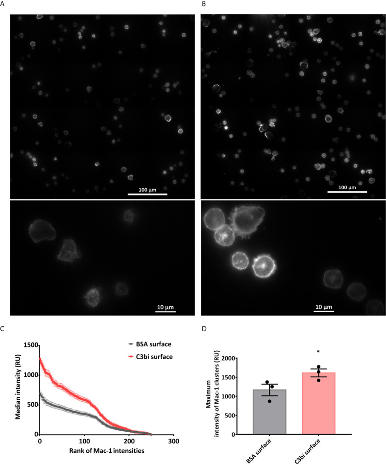 Figure 2