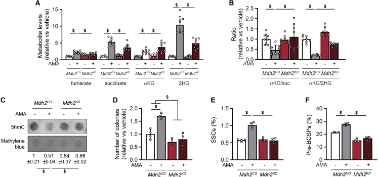 Figure 6