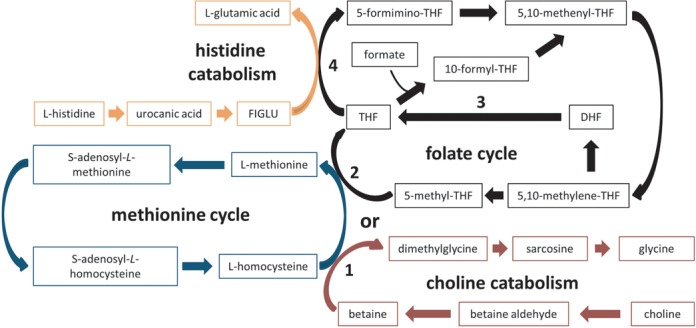 FIG. 8.