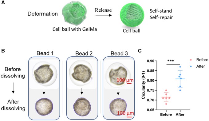 Figure 6.