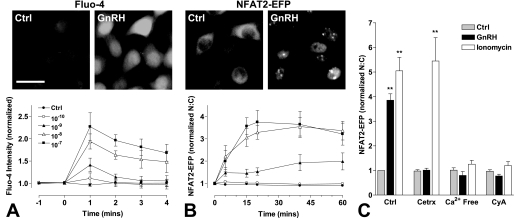 FIGURE 1.