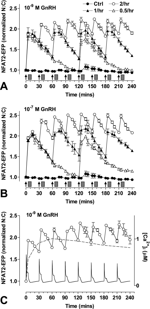 FIGURE 4.