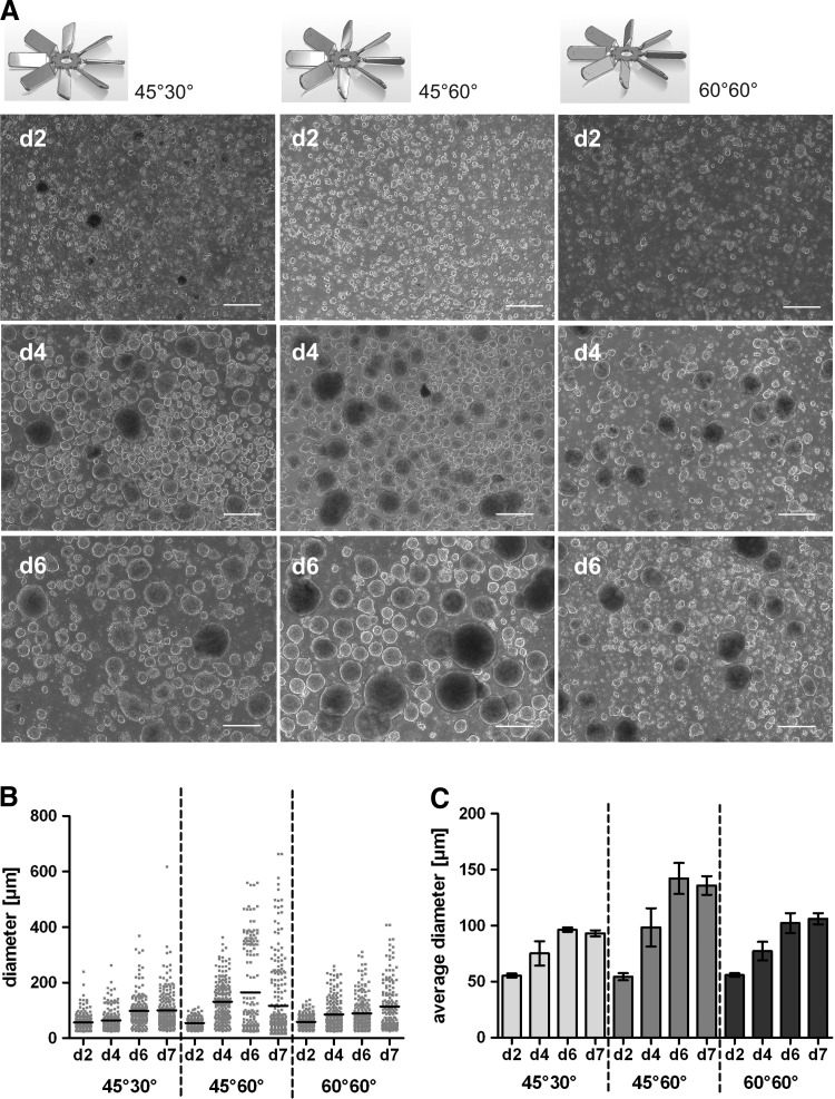 FIG. 2.