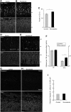 Figure 10—figure supplement 1.