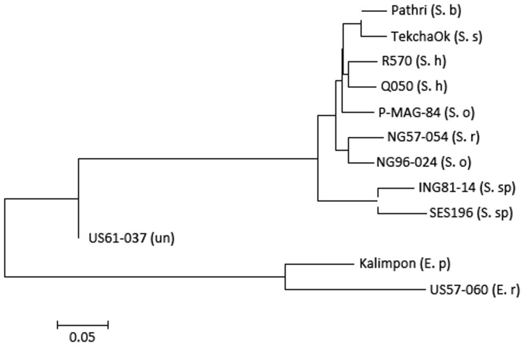 FIGURE 4