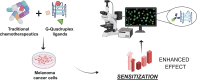 Graphical Abstract