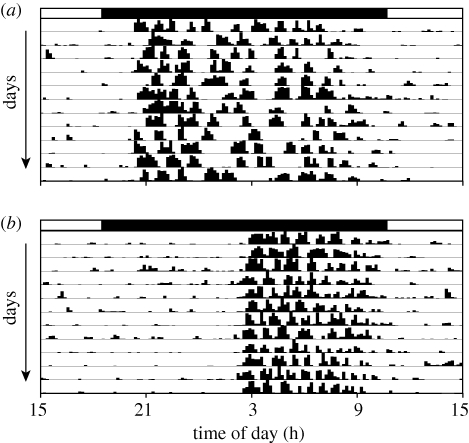 Figure 1.