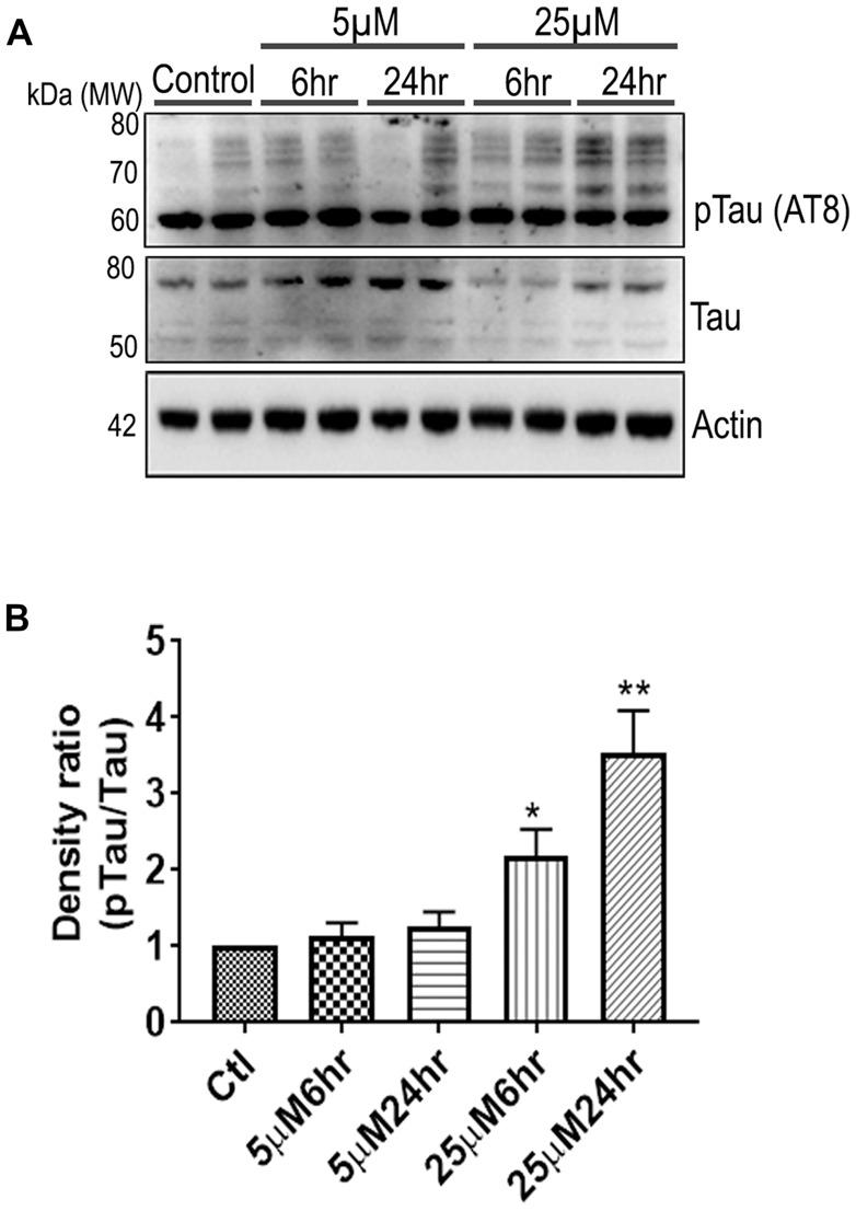 Figure 6