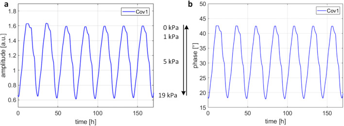 Fig. 8