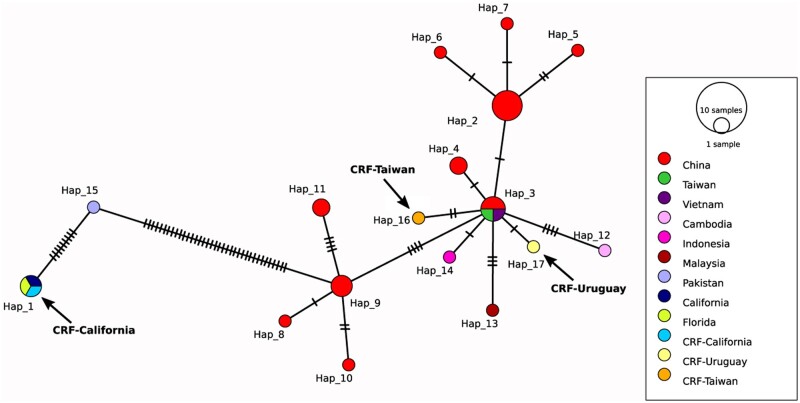 Figure 4