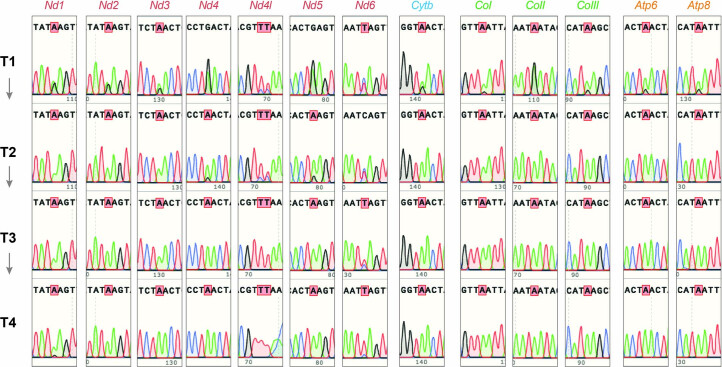 Extended Data Fig. 2