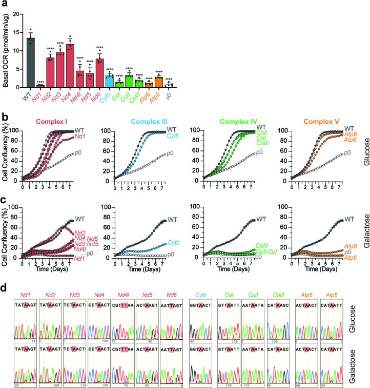 Extended Data Fig. 4