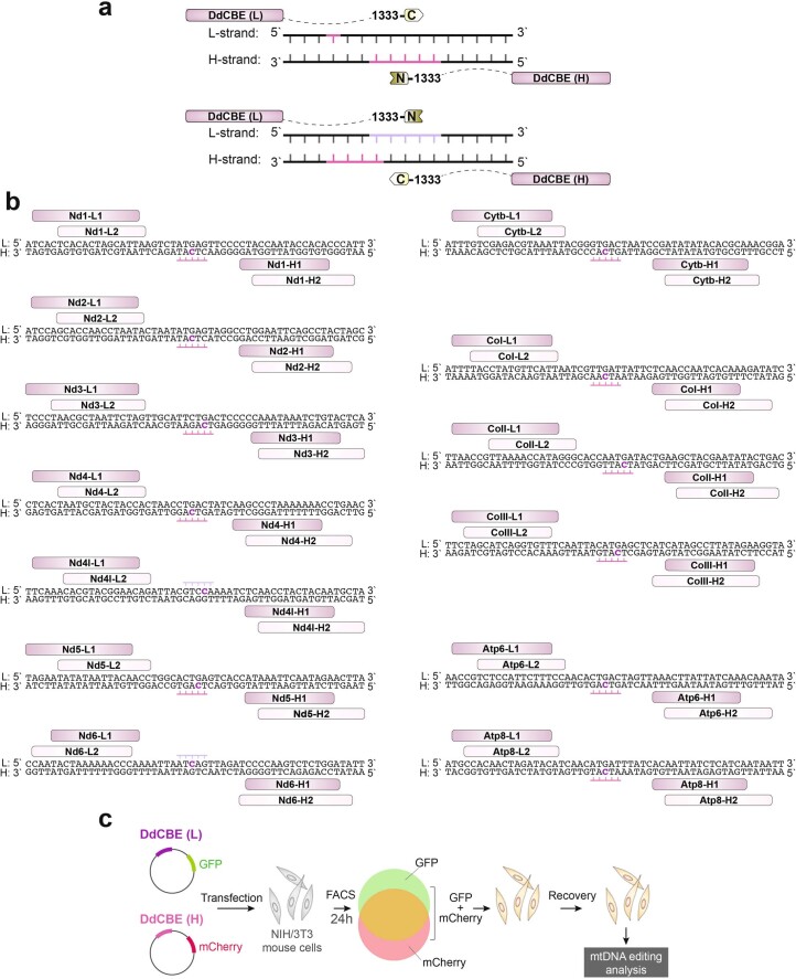 Extended Data Fig. 1