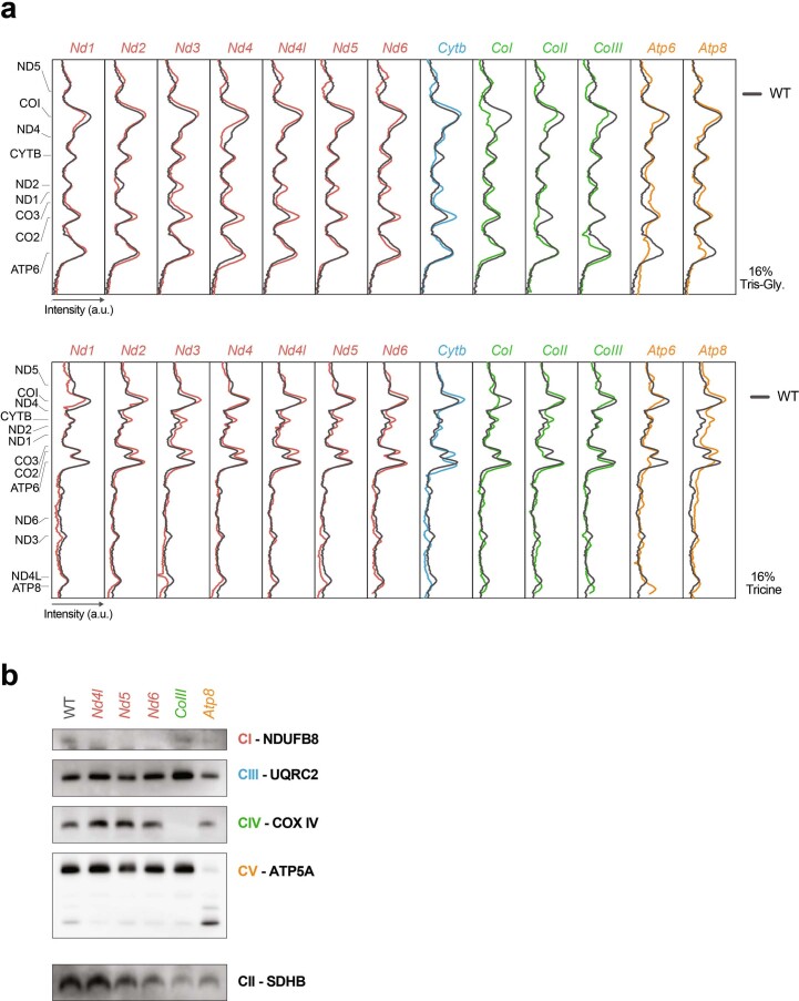 Extended Data Fig. 3