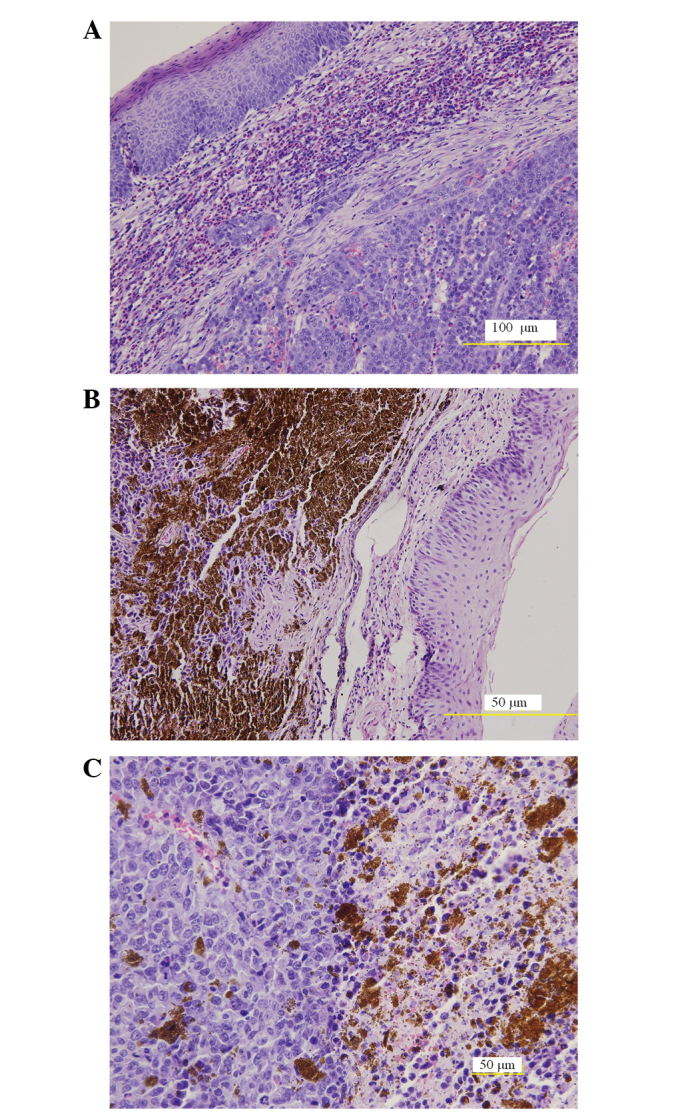 Figure 13