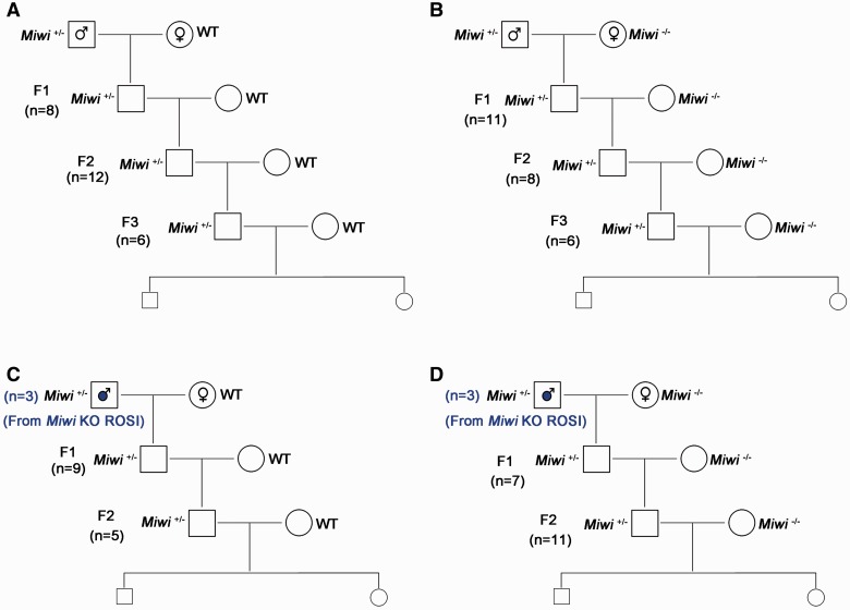 Figure 3: