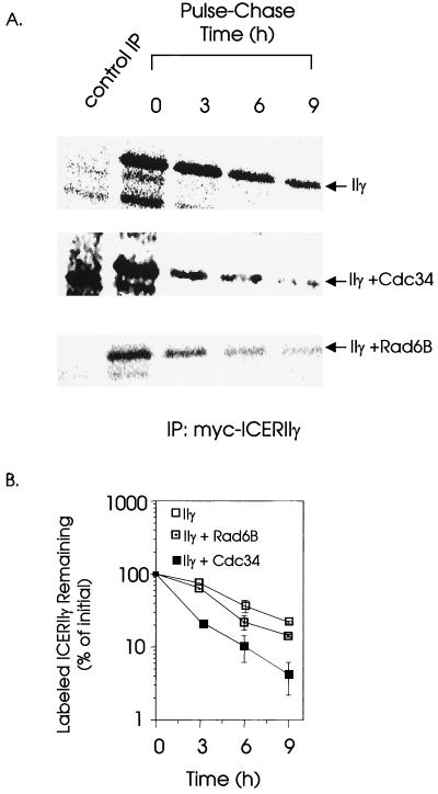 FIG. 6