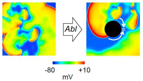 Fig. 3