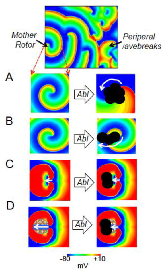 Fig. 4