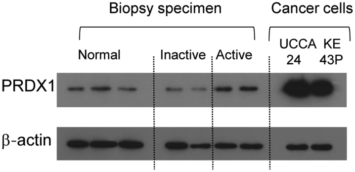 Figure 3.