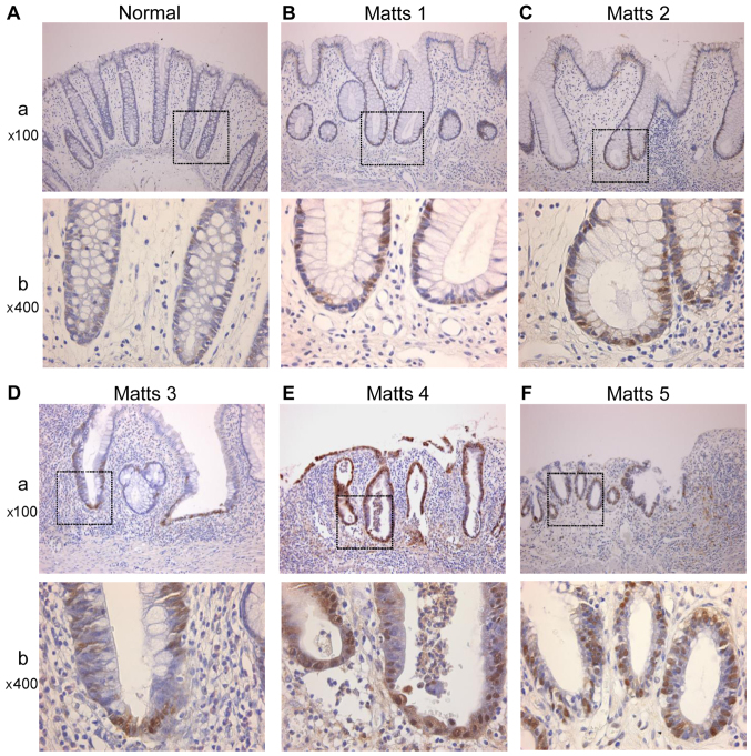 Figure 6.