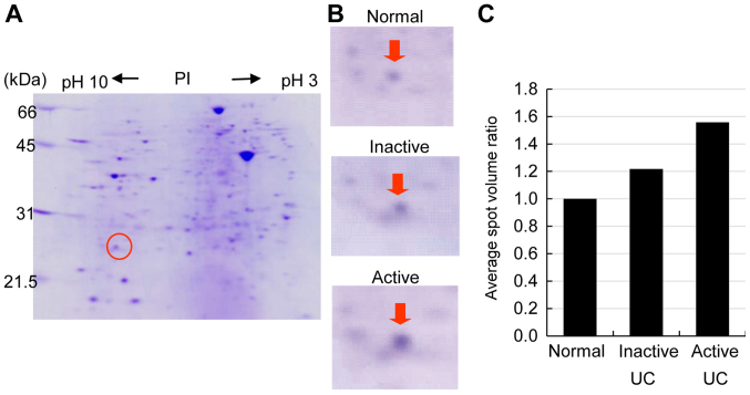 Figure 1.