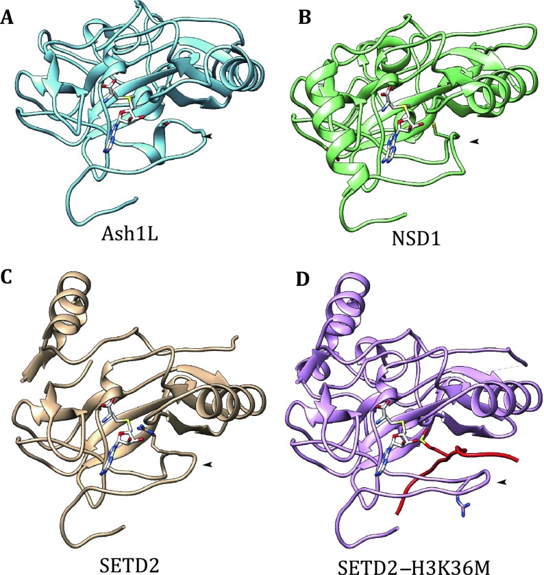 Fig. 1