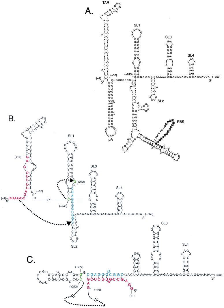 FIG. 7