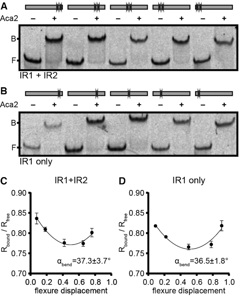 Figure 5.