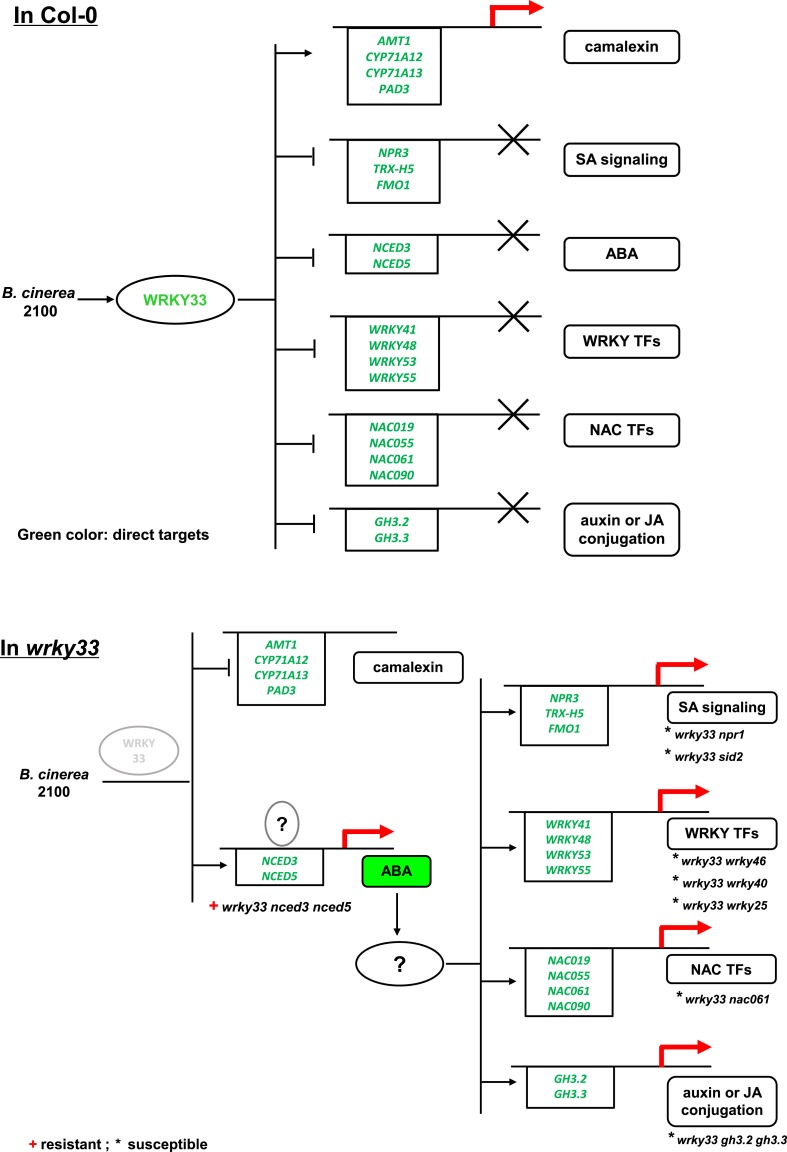 Figure 8—figure supplement 1.