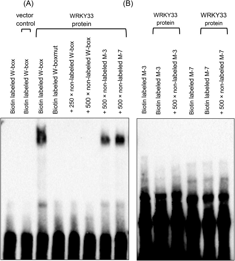 Figure 1—figure supplement 2.