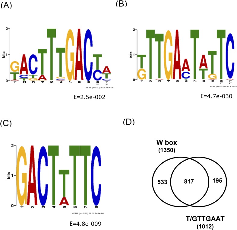 Figure 1—figure supplement 1.