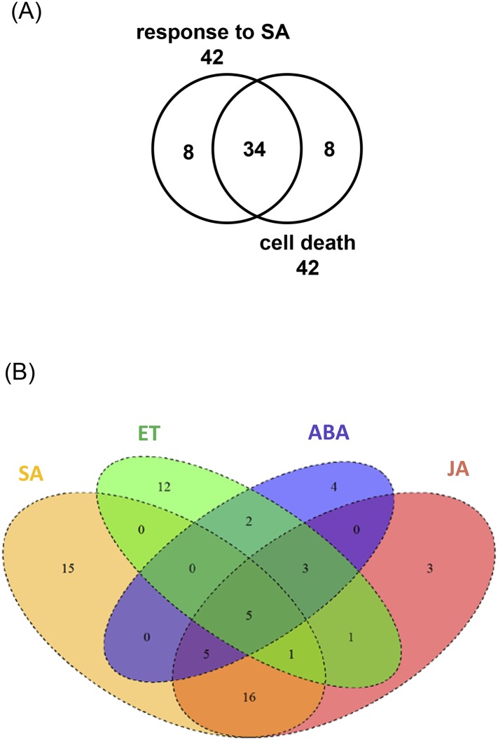 Figure 2—figure supplement 2.