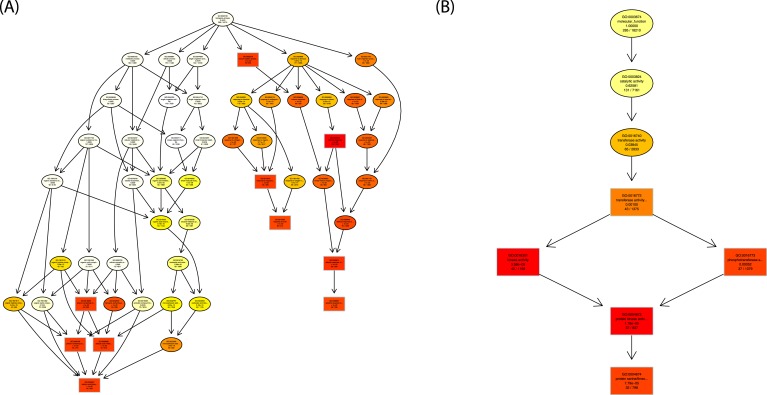 Figure 2—figure supplement 1.