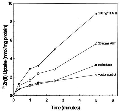 FIG. 3.