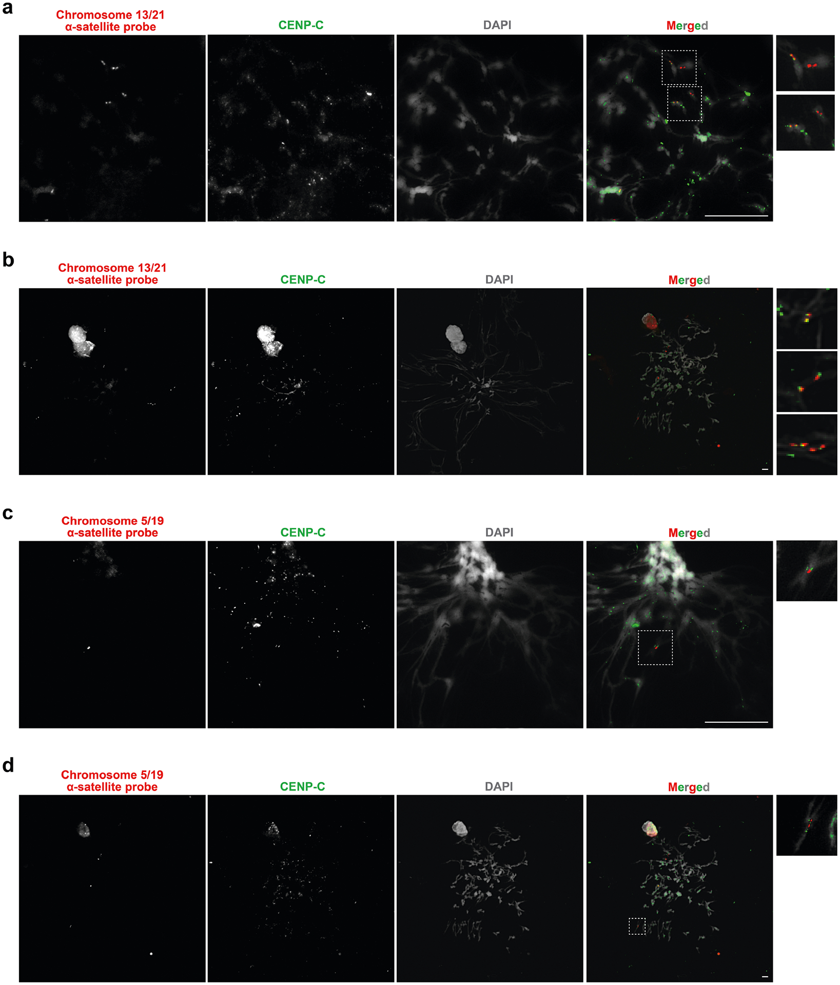 Extended Data Fig. 7 |