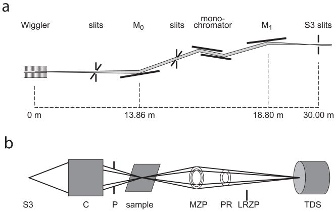 Fig. 1