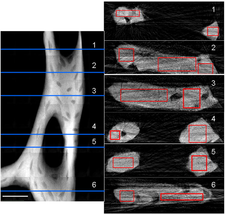 Fig. 6