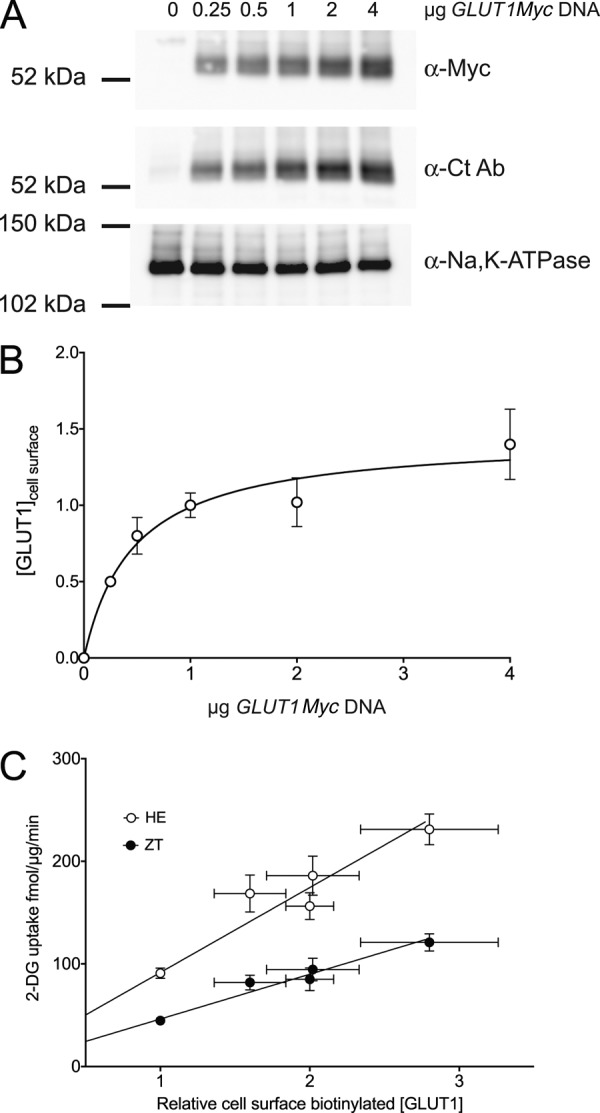 FIGURE 4.