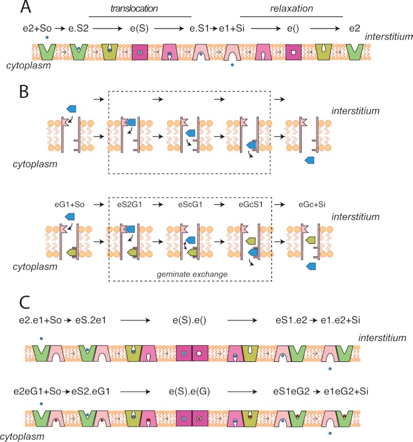 FIGURE 7.