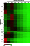 FIG 3