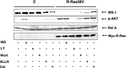 FIG. 5.