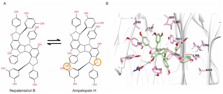 Figure 9