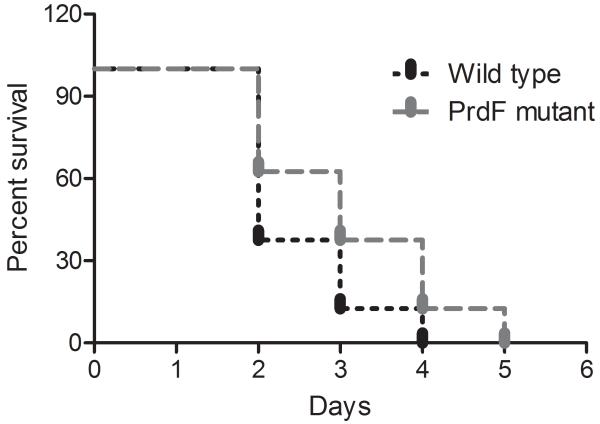 Fig.3