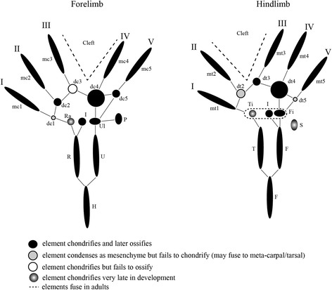 Fig. 16