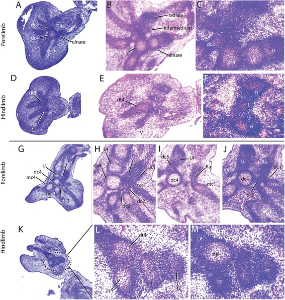 Fig. 15