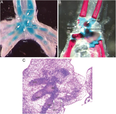 Fig. 14