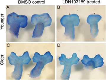 Fig. 9